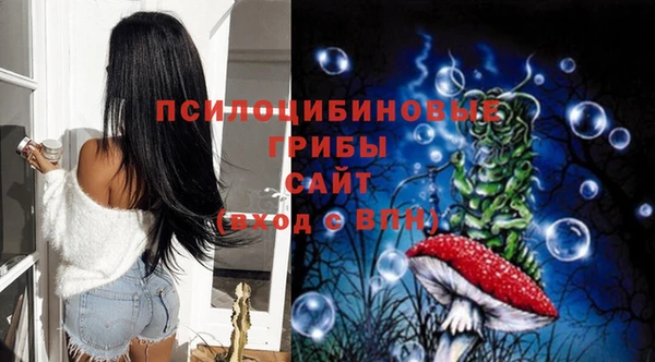 PSILOCYBIN Абаза