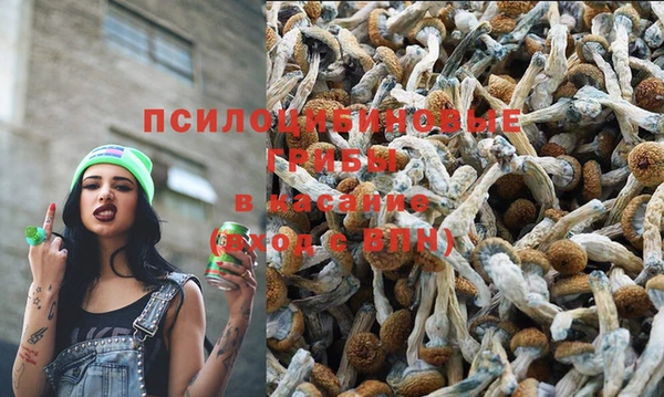 spice Абинск