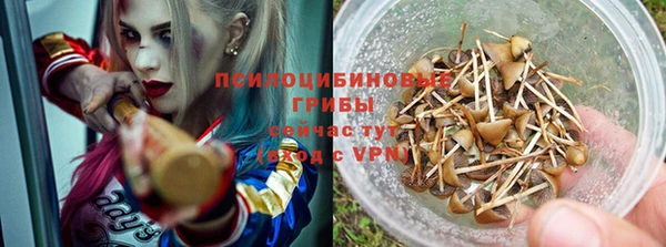 spice Абинск