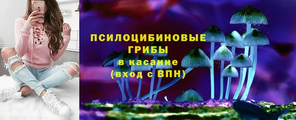 стафф Алексин