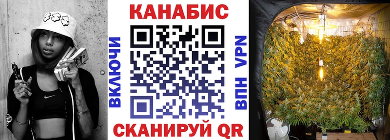 цена   Бежецк  Бошки марихуана White Widow 